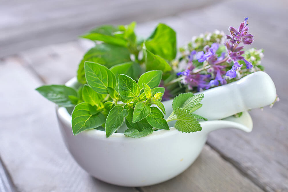 Naturopathic Medicine